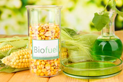 Coig Peighinnean Bhuirgh biofuel availability